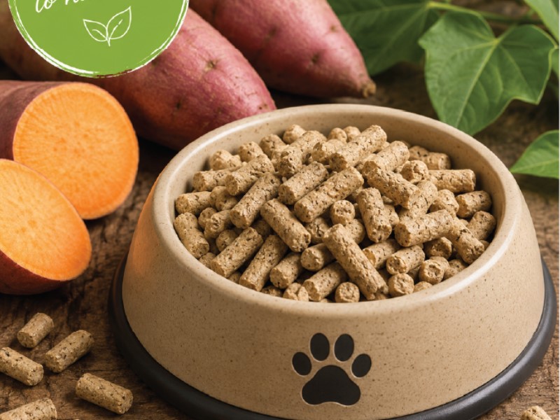 Natural pet food ingredients and Thai sweet potato pellets supplied by Eco Agri Food